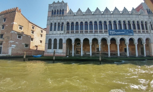 Museo di Storia Naturale di Venezia (Museum of Natural History) 