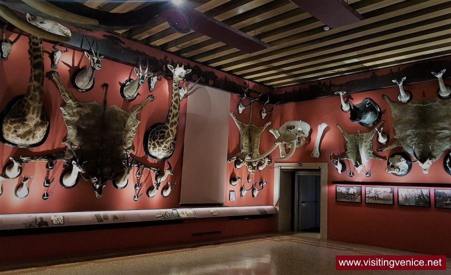 Museo di storia naturale