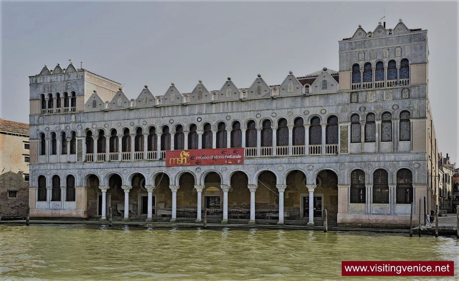 museum of natural history venice